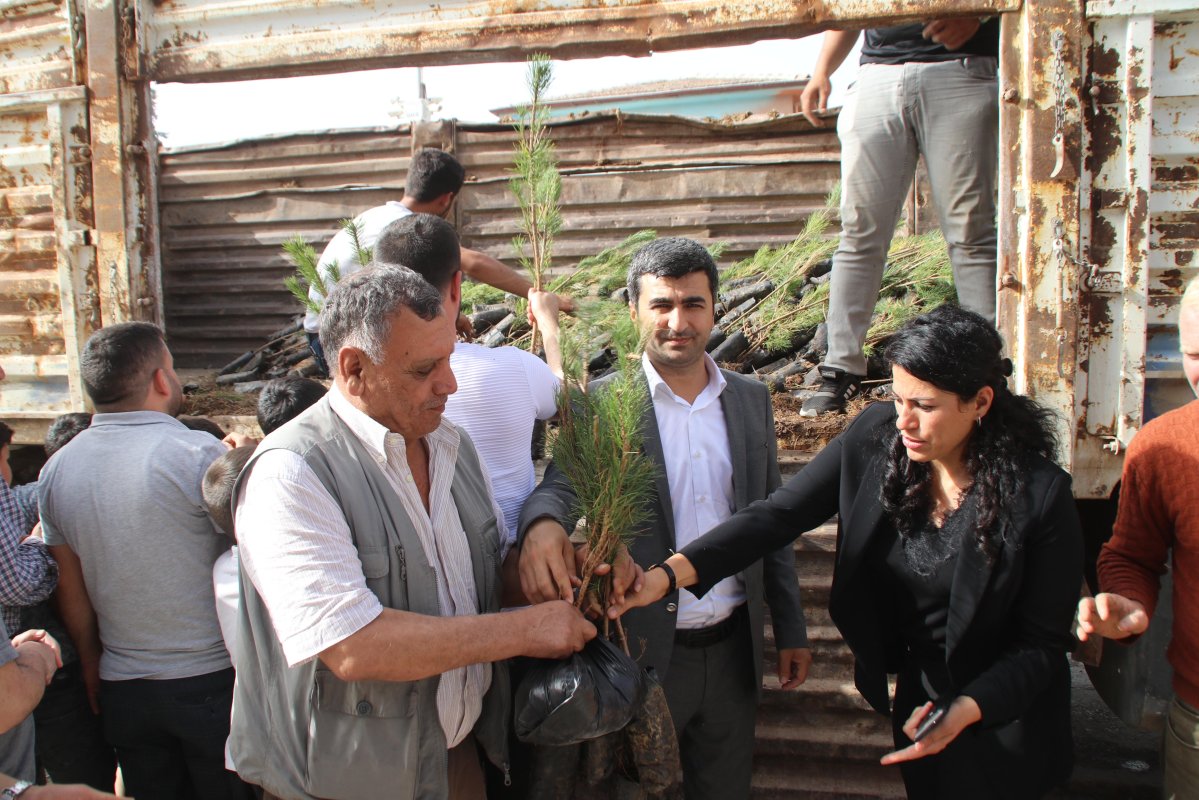 Belediyemiz Çalışıyor