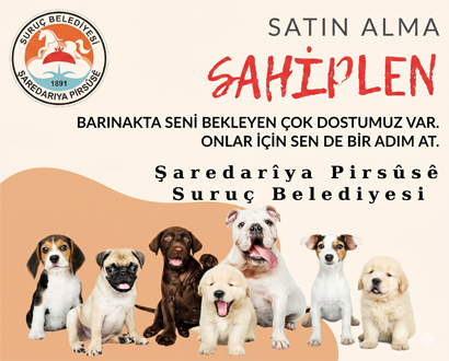 Sokak Hayvanlarını Sahiplenme Projesi